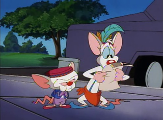 Illustration for article titled Every Single Pinky and the Brain Plan to Take Over the World, Ranked